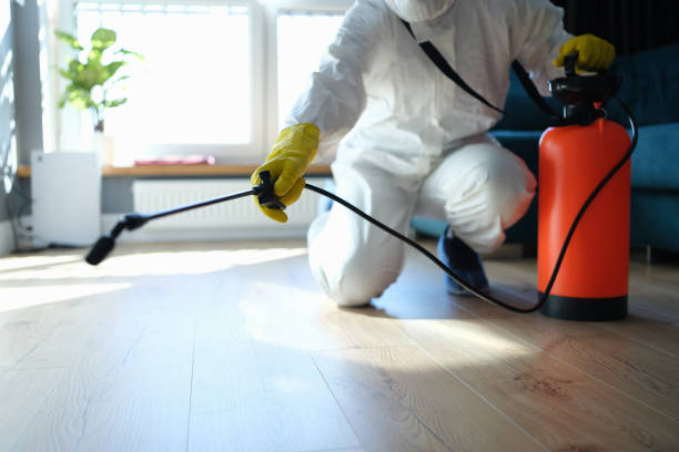 Reliable Odor Removal contractor in Summers, AR by Trauma Clean Pros